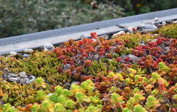the cost of Long Dean green roof installation
