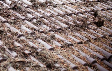 Long Dean roof cleaning companies