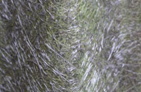 Long Dean fibreglass roof work